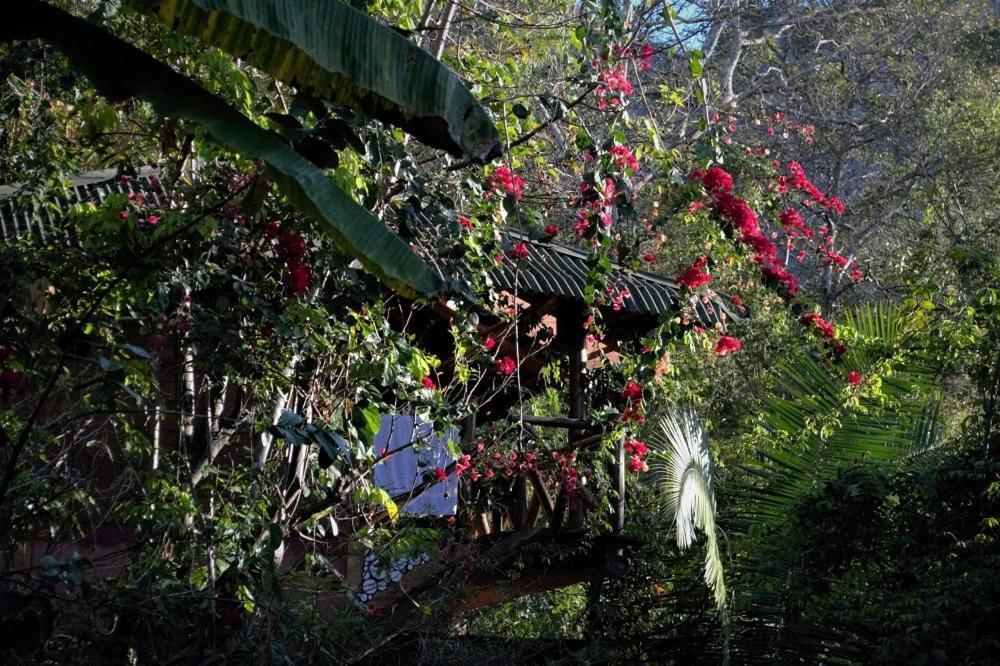 Mariri Jungle Lodge Alto Paraíso de Goiás Bagian luar foto