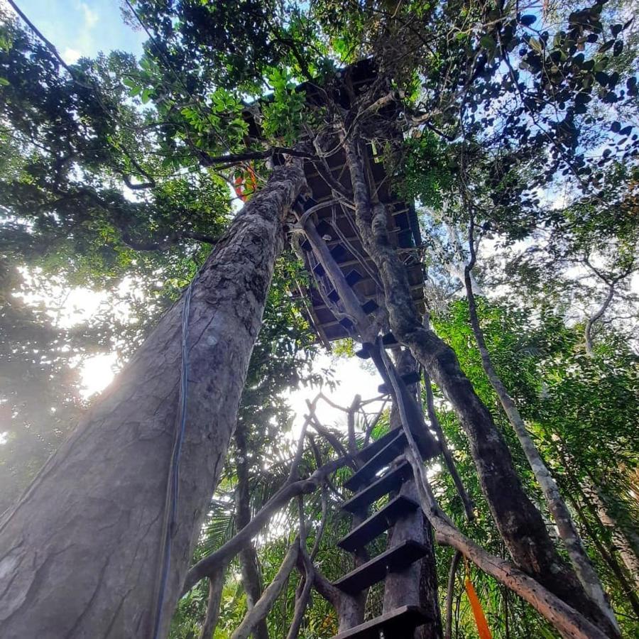 Mariri Jungle Lodge Alto Paraíso de Goiás Bagian luar foto