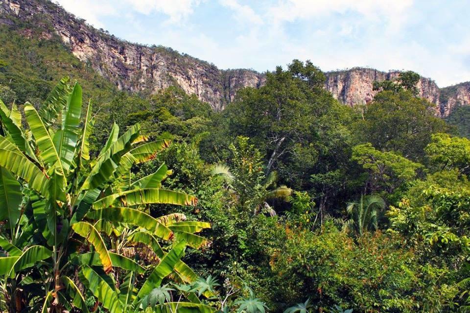 Mariri Jungle Lodge Alto Paraíso de Goiás Bagian luar foto
