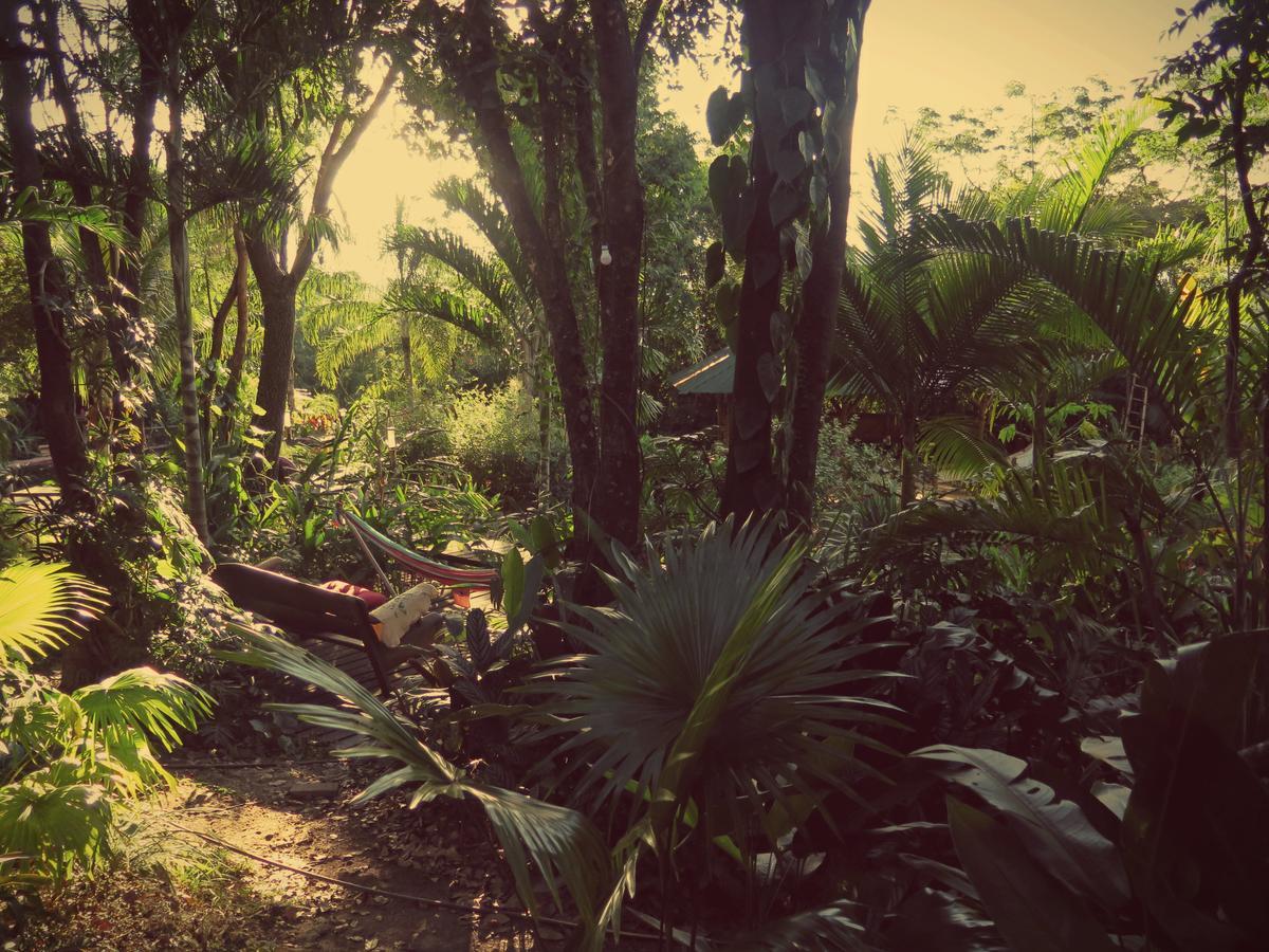 Mariri Jungle Lodge Alto Paraíso de Goiás Bagian luar foto